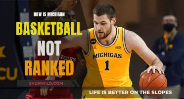 Unraveling Michigan's Underrated Basketball Legacy: A Journey to the Top