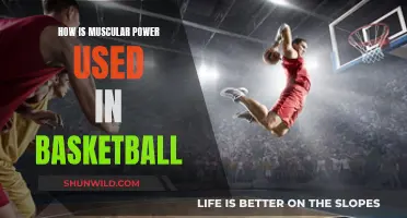 Muscular Power: Basketball's Secret Weapon