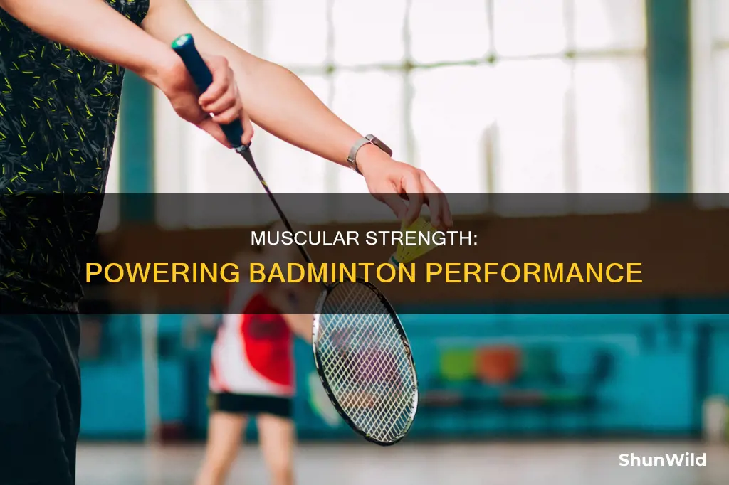 how is muscular strength used in badminton