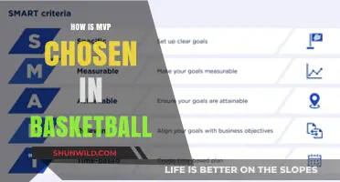 Who's the MVP: Deciding Basketball's Most Valuable Player
