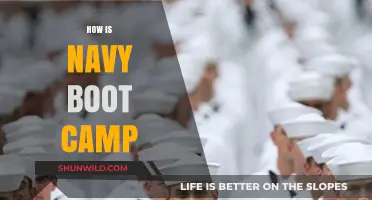 Navy Boot Camp Unveiled: Challenges, Growth, and Transformation Explained