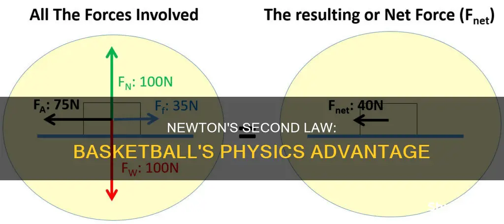 how is newton