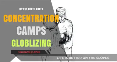 North Korea's Concentration Camps: A Globalizing Human Rights Crisis