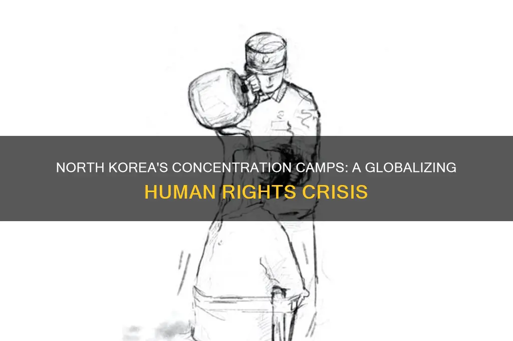 how is north korea concentration camps globlizing