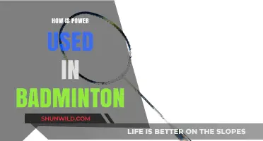 Power Play: Badminton's Secret Weapon