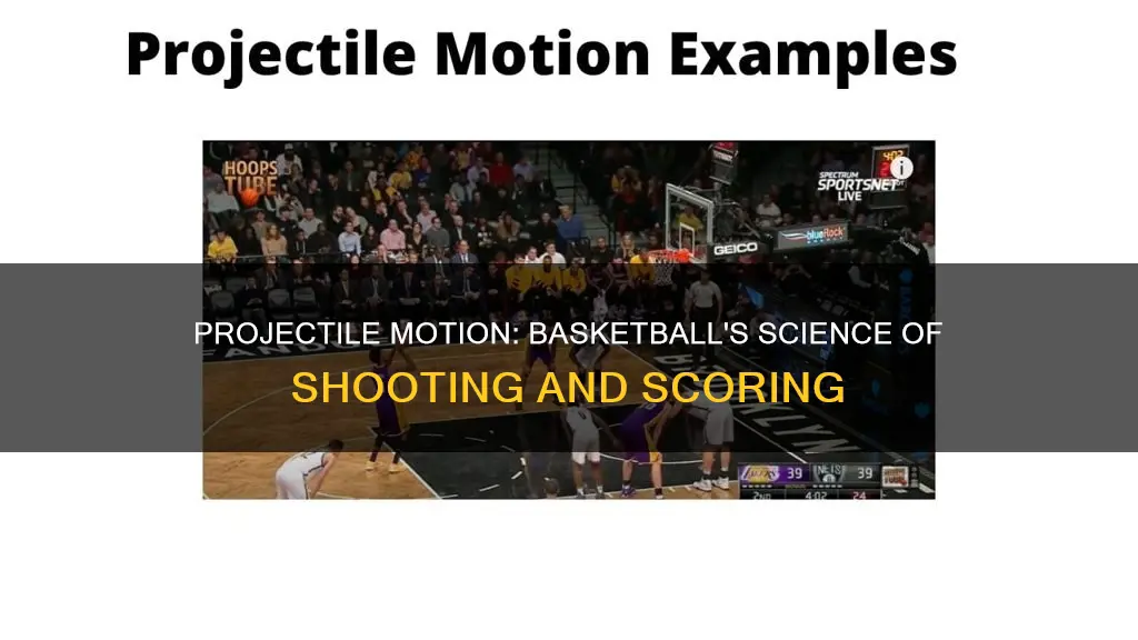 how is projectile motion used in basketball