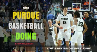 Purdue Basketball: Current State and Future Prospects
