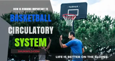 Running's Impact on Basketball Performance and Health