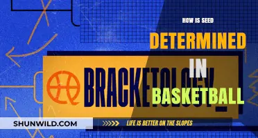 Seeding Strategies in Basketball: How Teams are Ranked