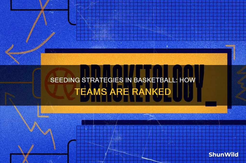 how is seed determined in basketball