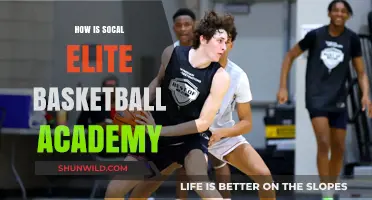 Elite Basketball Training in SoCal: Is It Worth It?