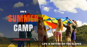 Summer Camp Adventures: Fun, Friendship, and Unforgettable Memories Await!