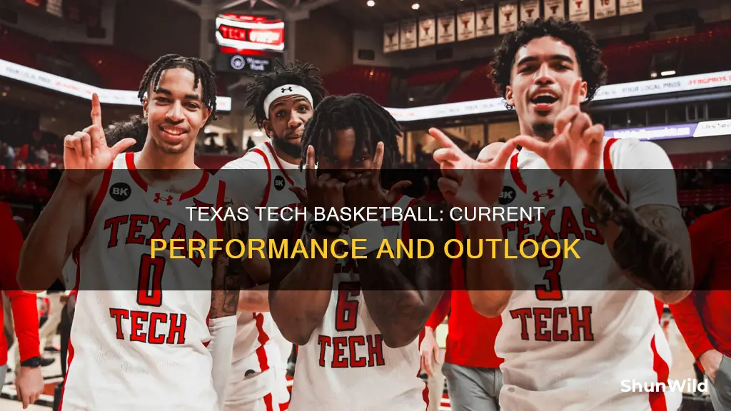 how is texas tech doing in basketball