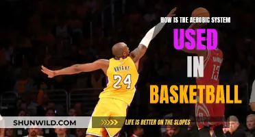 Aerobic System: Basketball Performance Enhancer