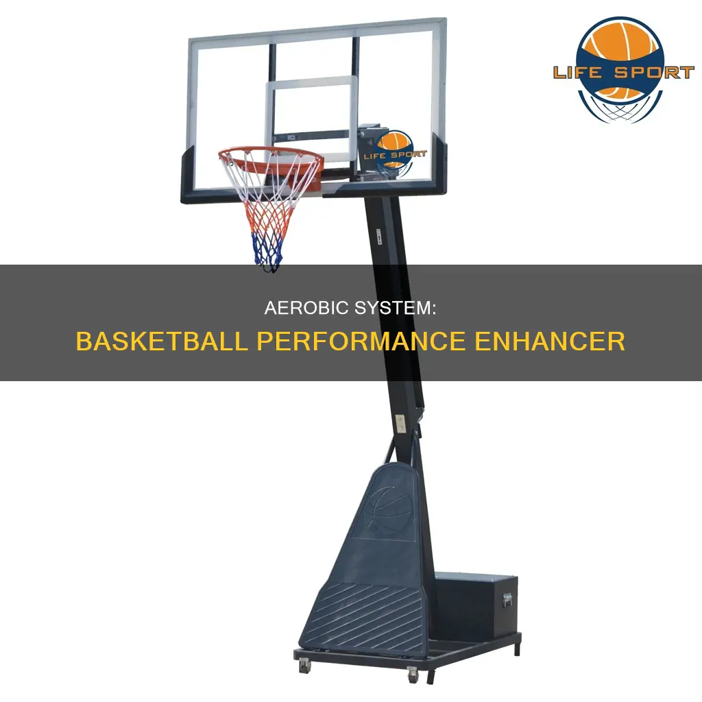 how is the aerobic system used in basketball