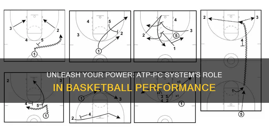 how is the atp-pc system used in basketball