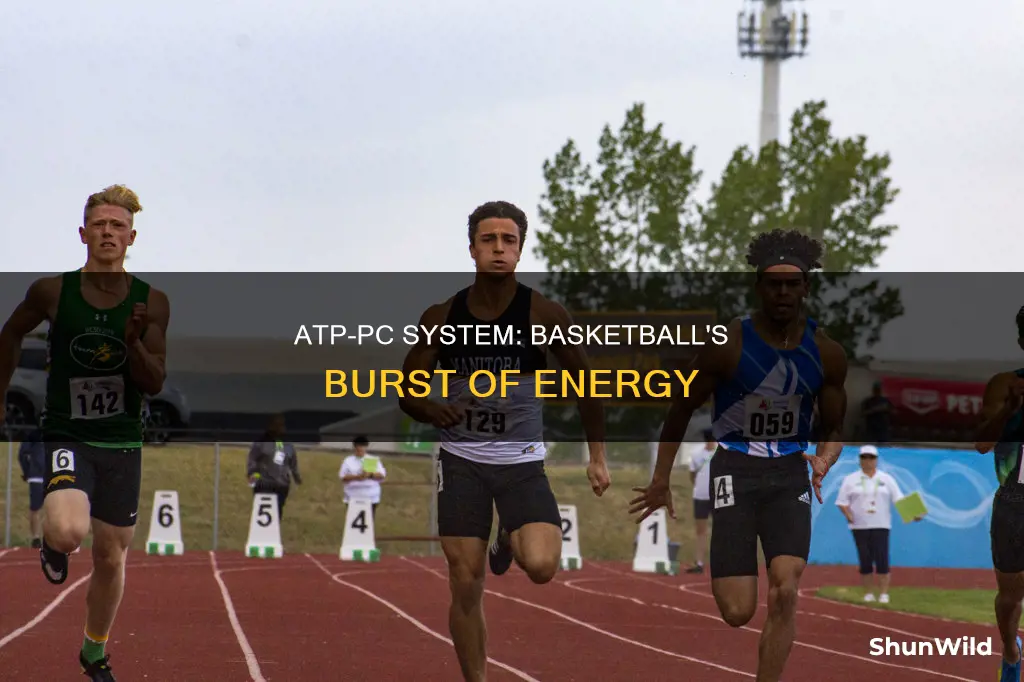 how is the atp-pc system used in basketball