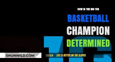 Big Ten Basketball: Champion Determination Process Explained