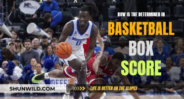 The Evolution of Basketball Box Scores