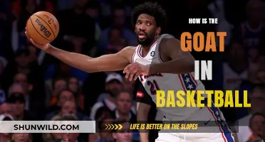 Greatest of All Time: Basketball's Greatest Player