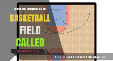 The Basketball Key: Understanding the Rectangle