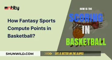 Understanding Basketball Scoring: Points and Victory