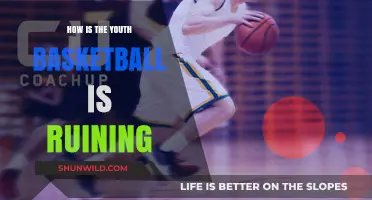 The Future of Basketball: Youth Development in Crisis