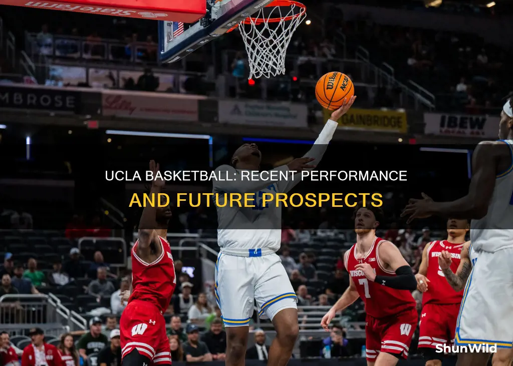 how is ucla basketball doing