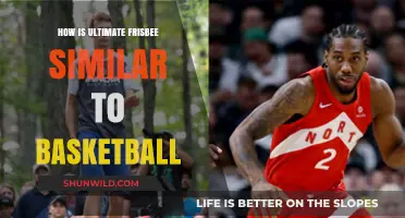 Frisbee Flow: Basketball's Fast-Paced Cousin