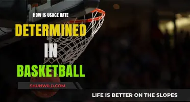 Usage Rates: Basketball's Most Important Stat?