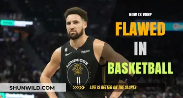 Vorp's Limitations: A Basketball Perspective