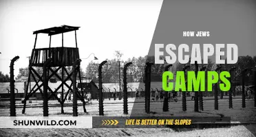 Escape from Hell: Jewish Resistance and Survival in Nazi Camps