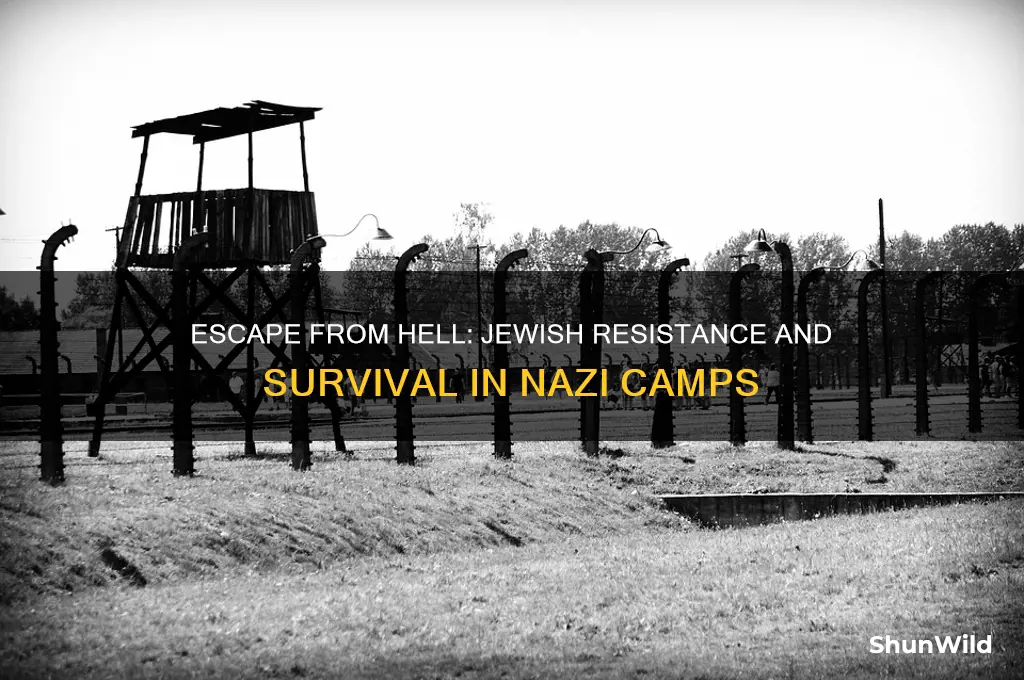 how jews escaped camps