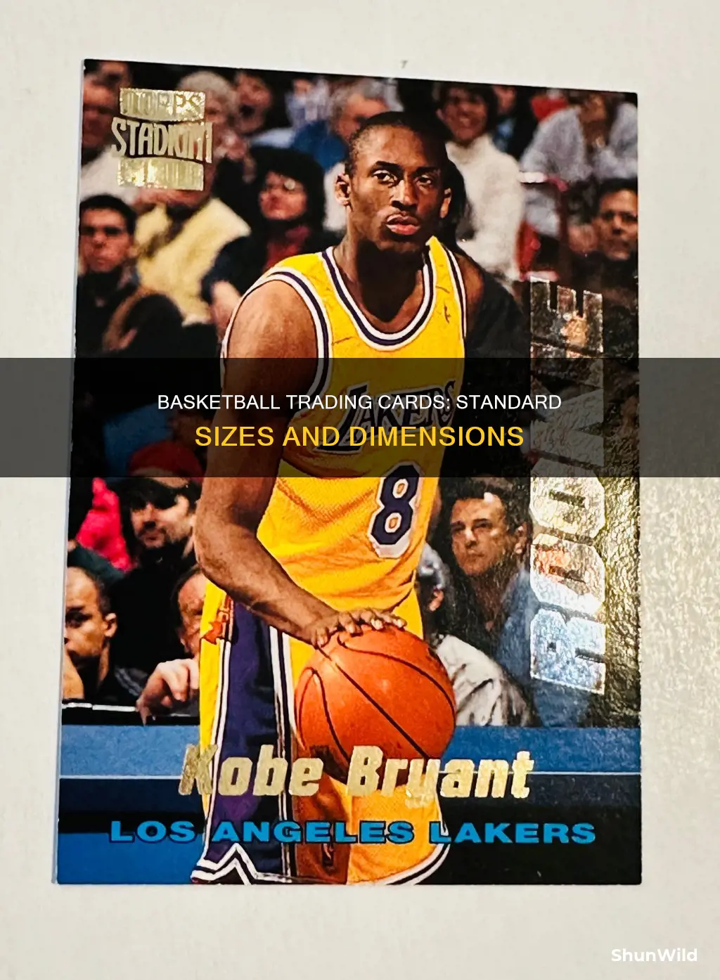 how large are basketball trading cards