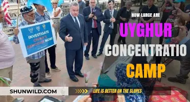 Unveiling the Scale of Uyghur Concentration Camps in Xinjiang