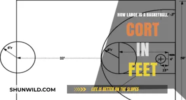 Basketball Court Dimensions: How Big is the Playing Area?