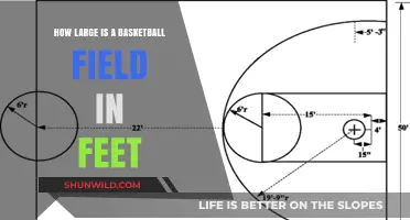 Basketball Court Dimensions: Feet and Inches