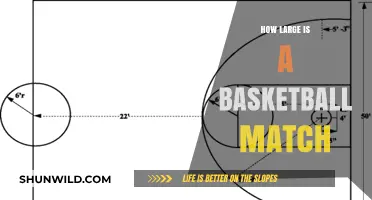 The Massive Scale of Basketball Courts