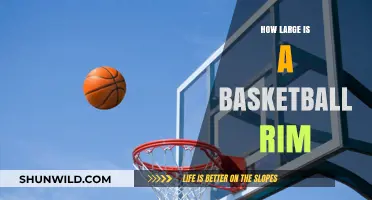 Basketball Rim Size: The Standard Diameter and Circumference