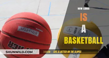 The Size of a Basketball: Official Measurements and More