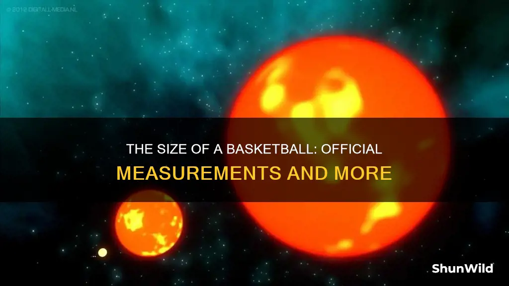 how large is a basketball