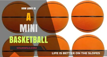 The Mini Basketball's Surprising Size