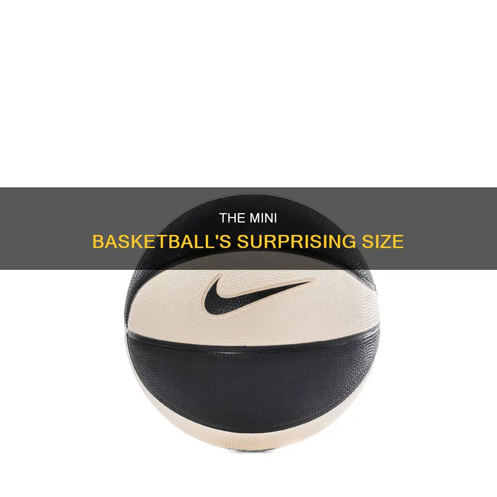 how large is a mini basketball