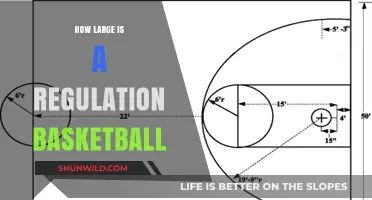 The Standard Basketball Size for Competitive Play