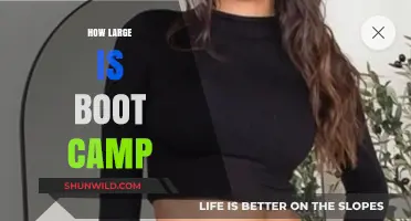 Exploring the Size and Scope of Boot Camp Training Programs