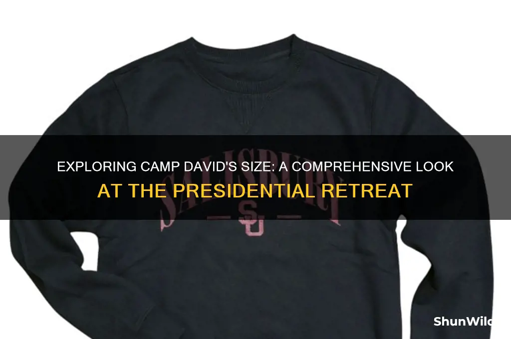 how large is camp david