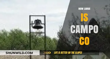 Exploring Campo Co's Size: A Comprehensive Guide to Its Scale