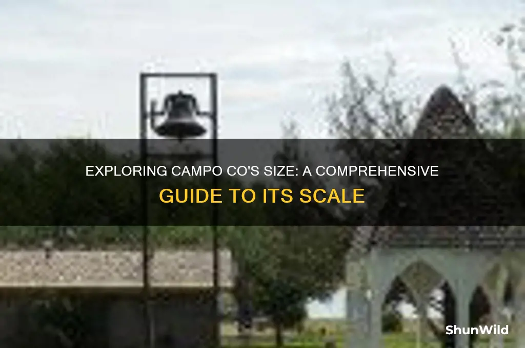 how large is campo co