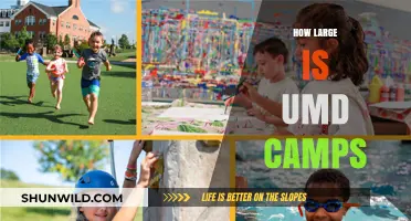 Exploring the Size and Scale of UMD Summer Camps