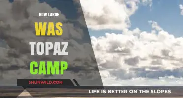 Unveiling the Size of Topaz Camp: A Historical Perspective